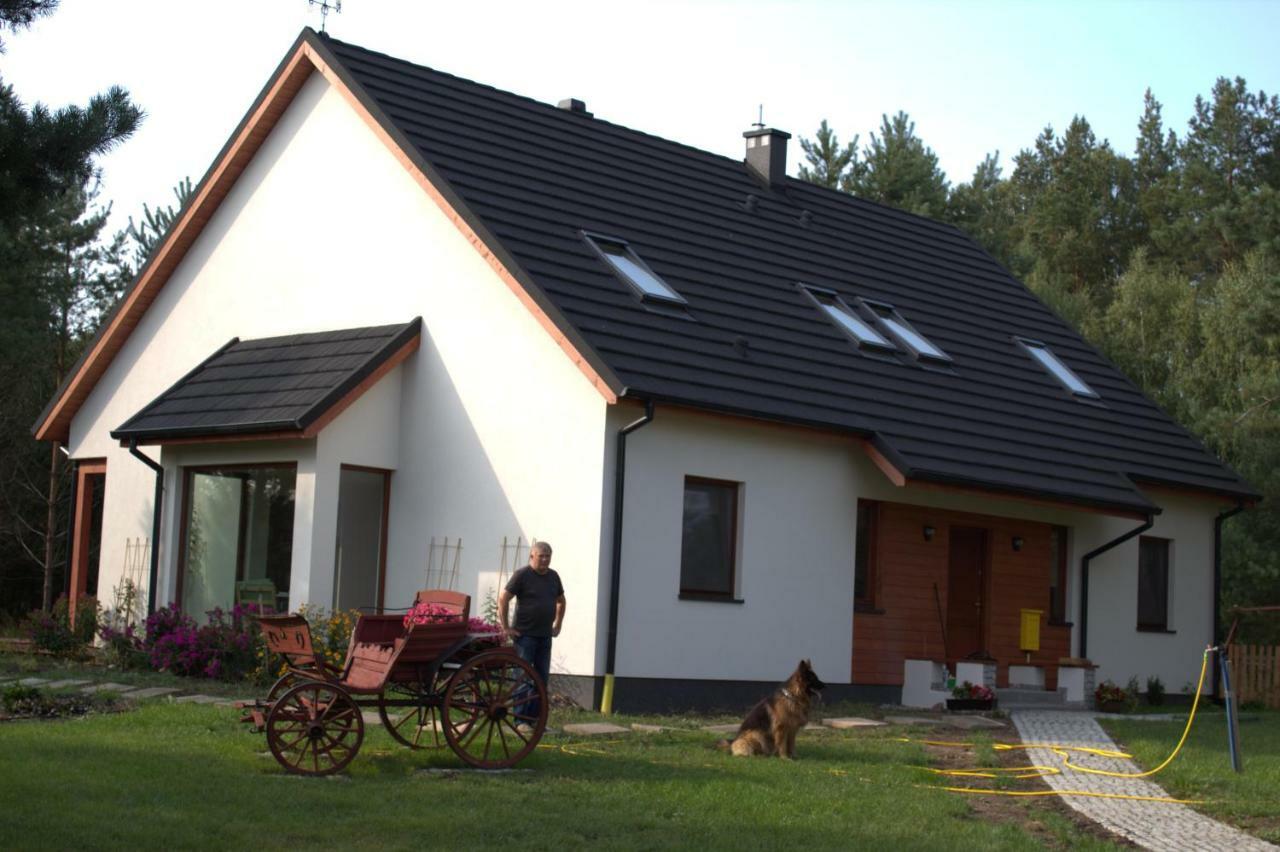 Koci Grzbiet Agroturystyka Dzierzazno Wielkie Eksteriør billede