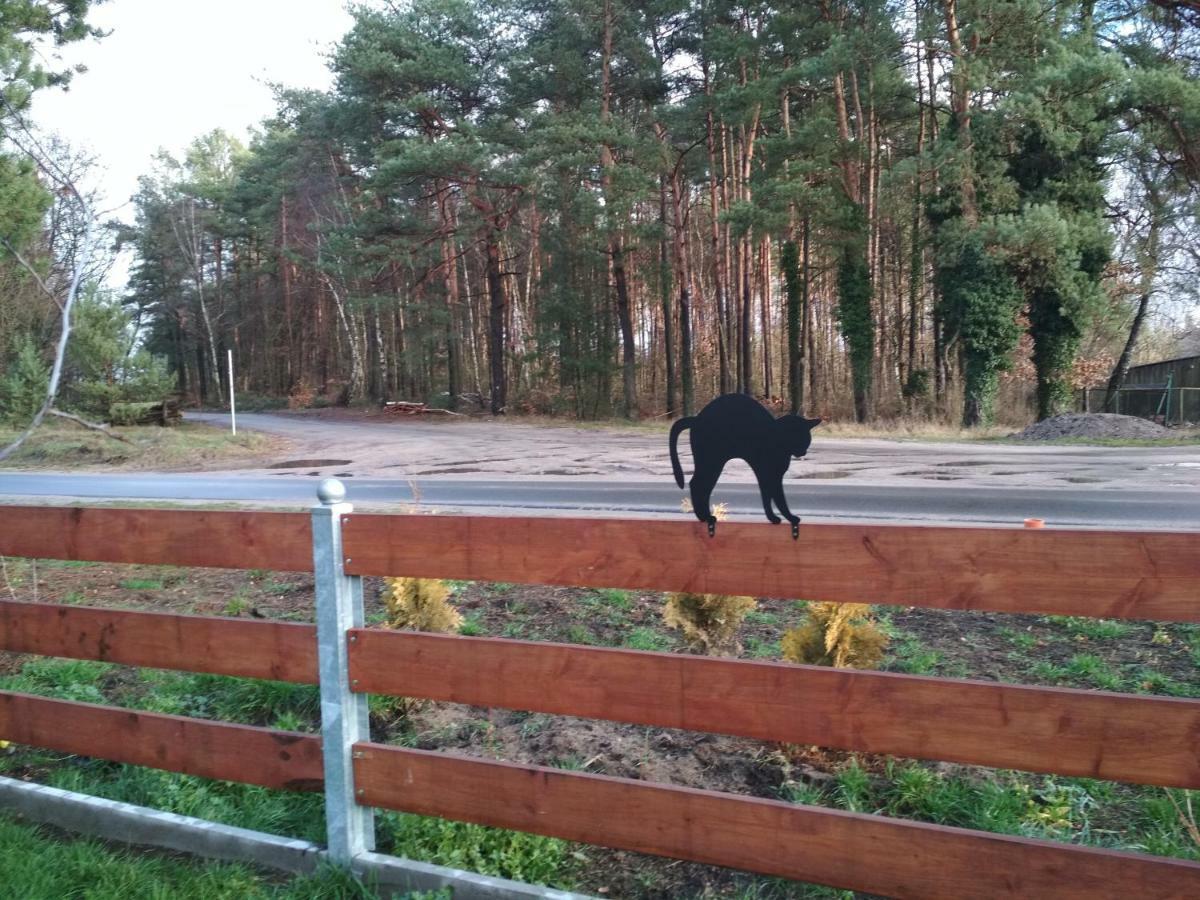 Koci Grzbiet Agroturystyka Dzierzazno Wielkie Eksteriør billede